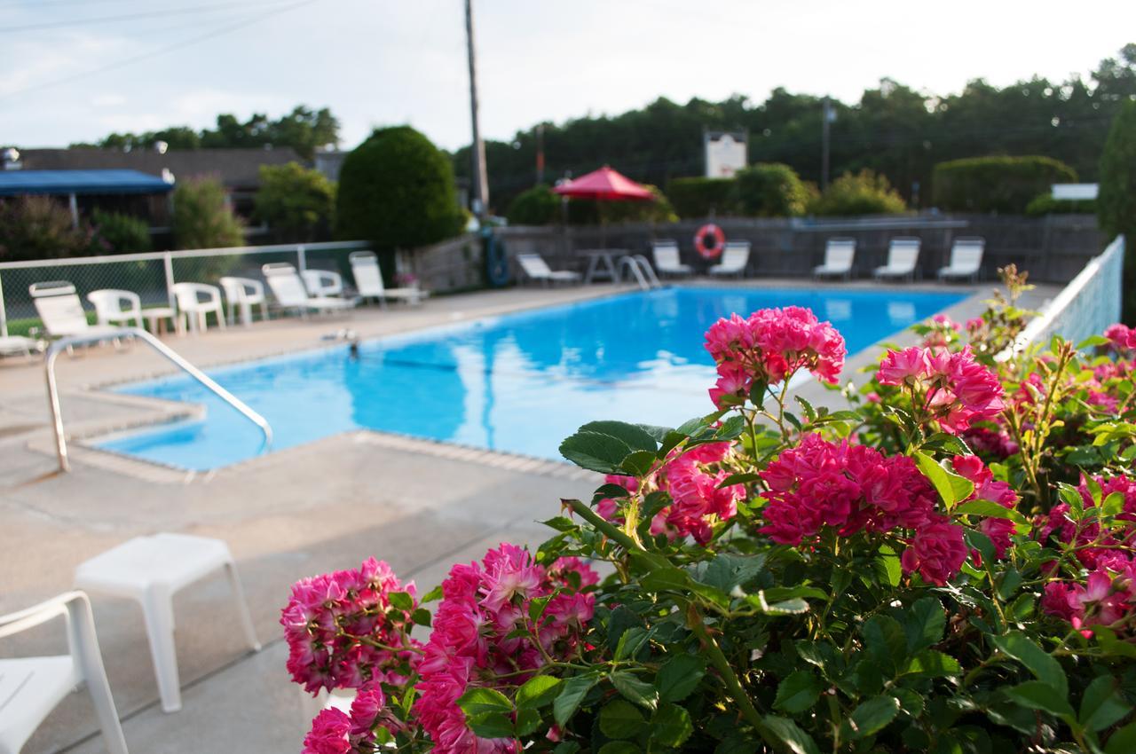 Southfleet Motor Inn Wellfleet Eksteriør billede